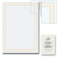 Сертификат-бумага BRAUBERG А4, 25 листов, 115 гр., в суперобложке, голубая паутинка, 122621
